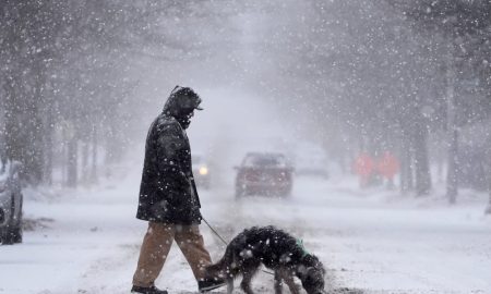 snowstorm
